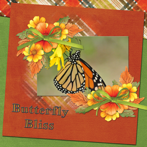 Butterfly Bliss