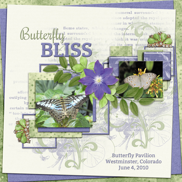 Butterfly BLISS