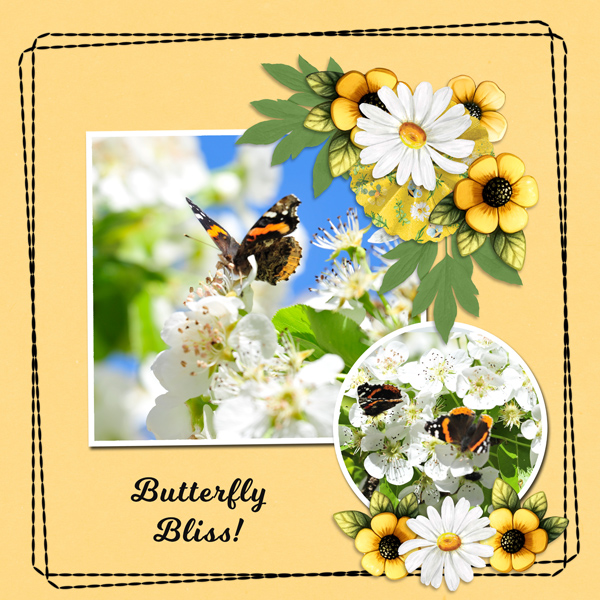 Butterfly Bliss