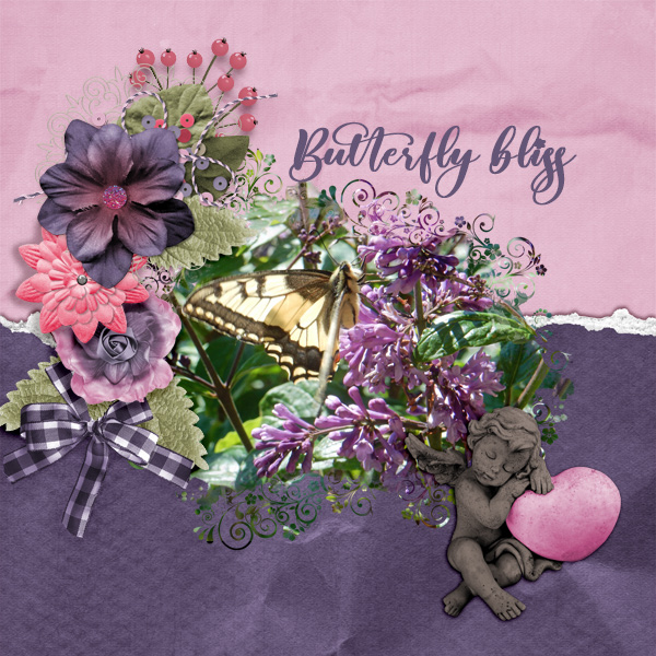 Butterfly-bliss2