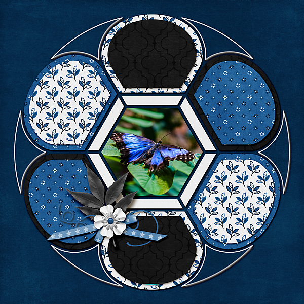 Butterfly Blues