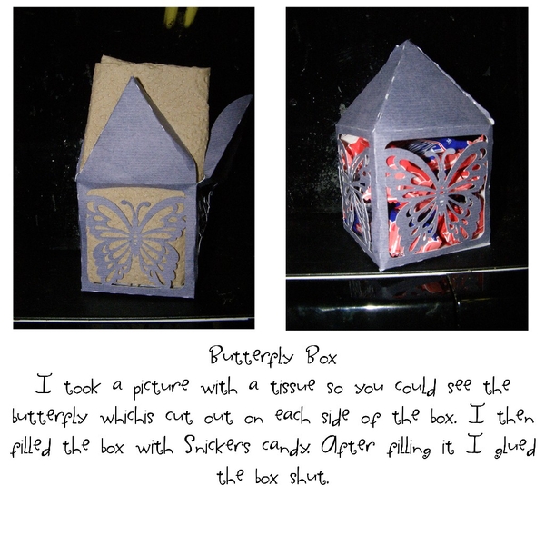 Butterfly box