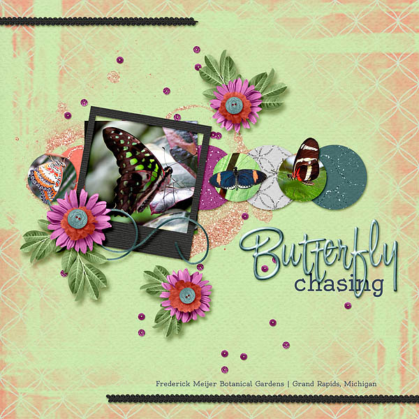 Butterfly Chasing
