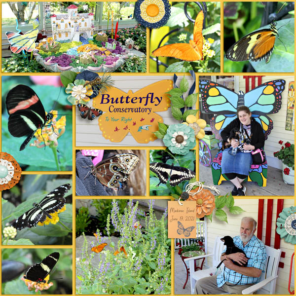 Butterfly Conservatory