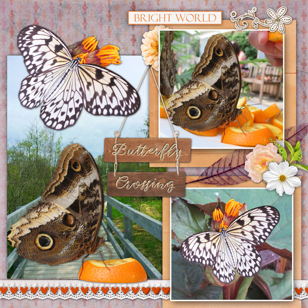 Butterfly Crossing