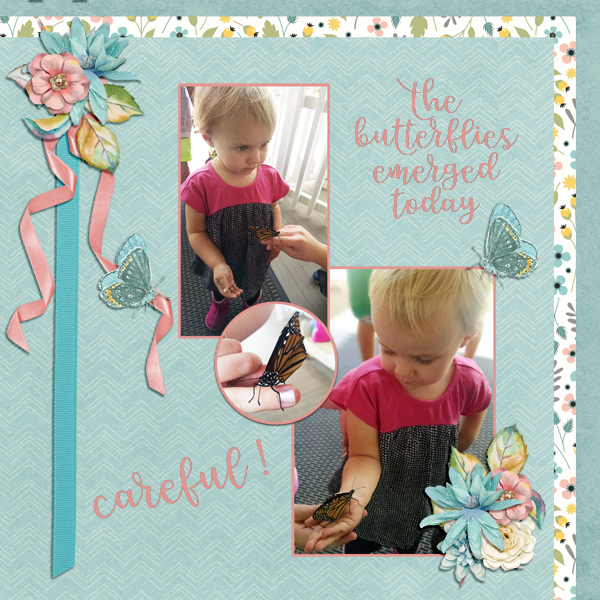 Butterfly Day