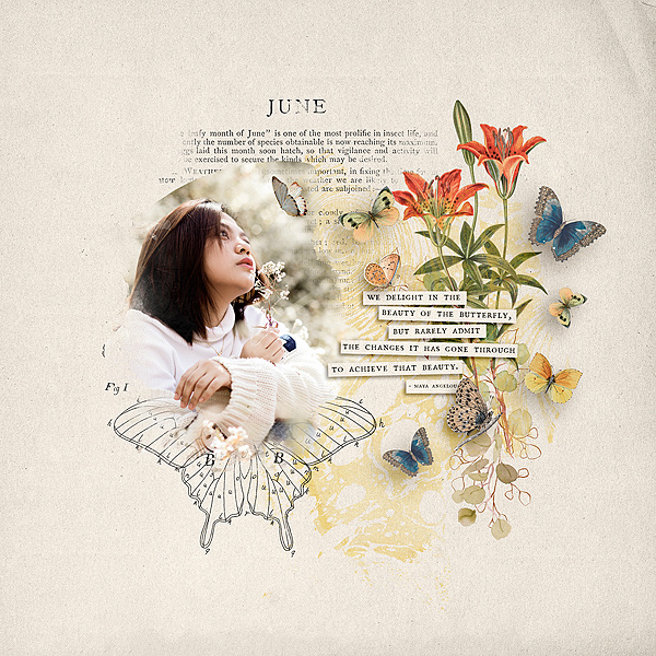 Butterfly Delight