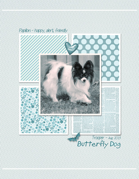 Butterfly Dog