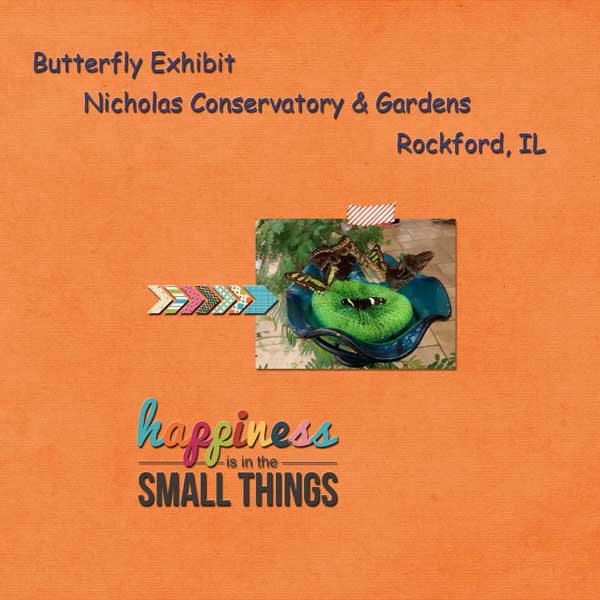 Butterfly-Exhibit