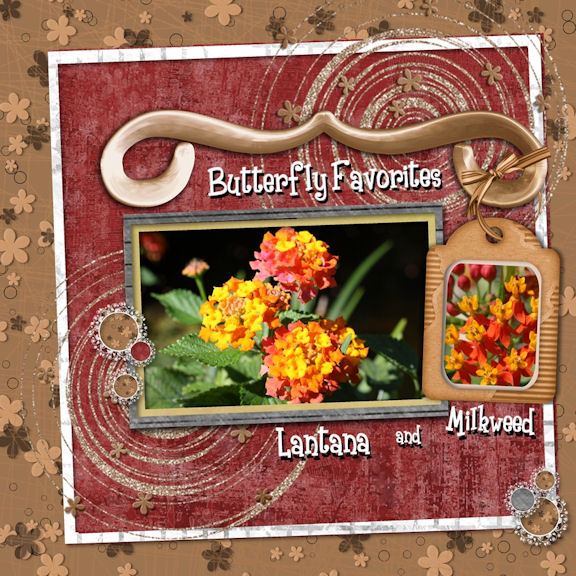 Butterfly Favorites