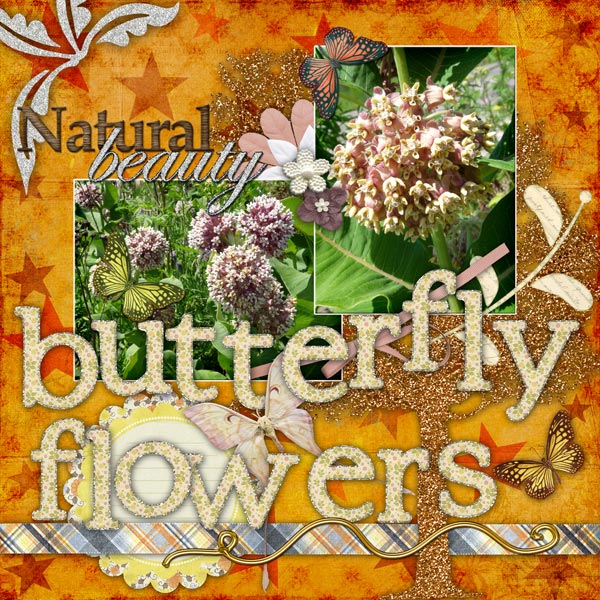 Butterfly Flowers