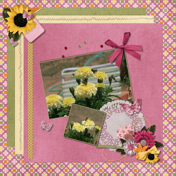 Butterfly Flowers