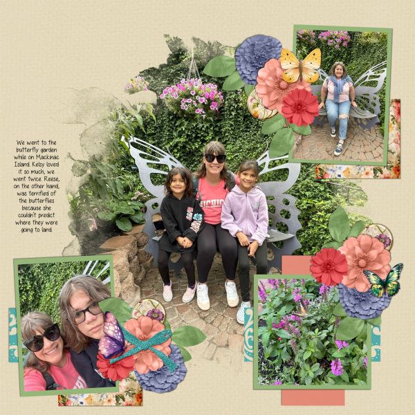 Butterfly Garden 2024
