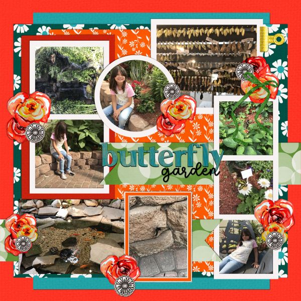 Butterfly Garden A