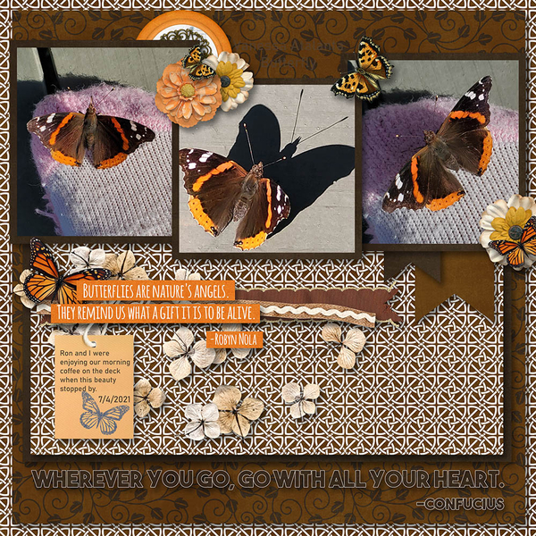 Butterfly Garden Kit