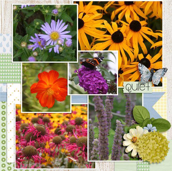 Butterfly Garden p. 2