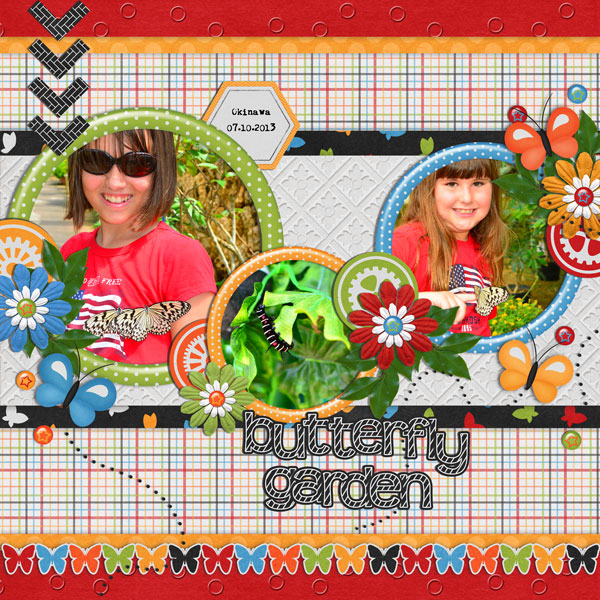 butterfly garden