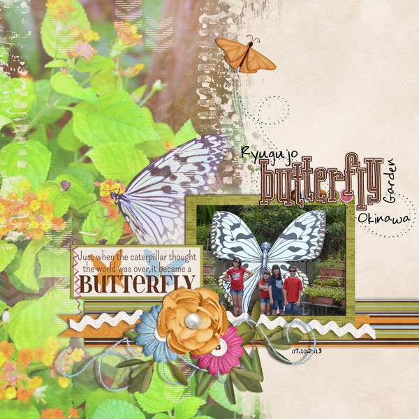 butterfly garden