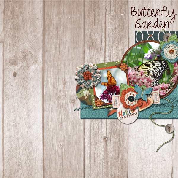 Butterfly Garden