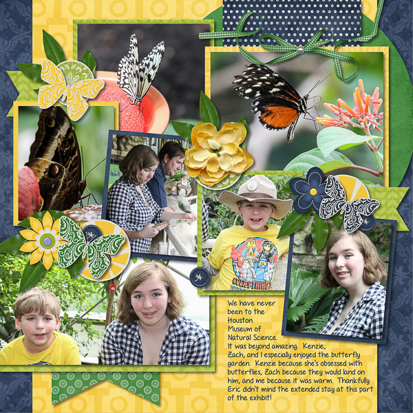 Butterfly Garden