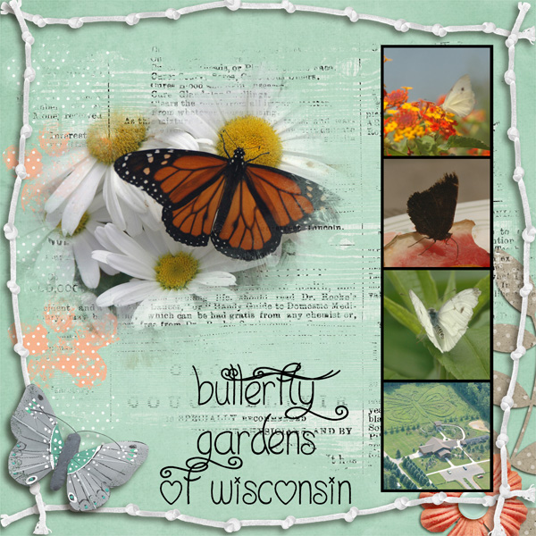 Butterfly Garden