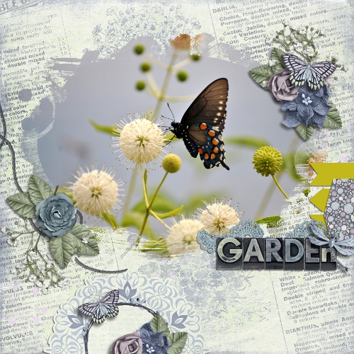 Butterfly Garden