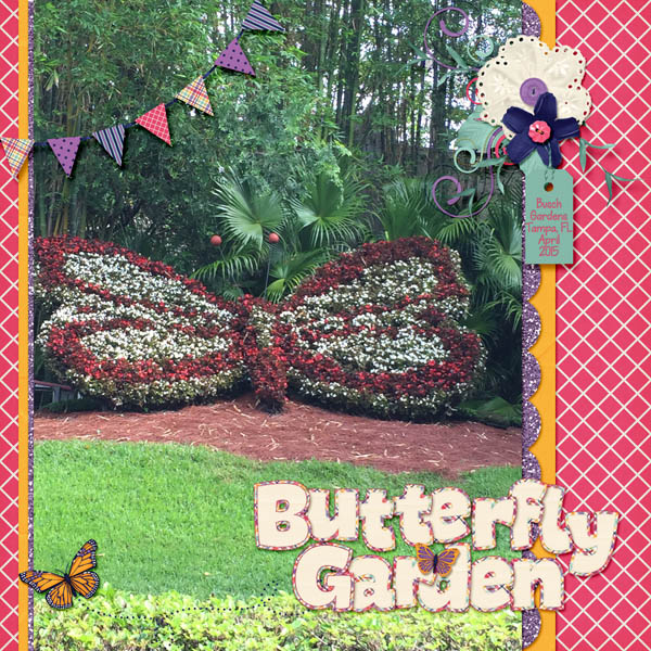 Butterfly Garden