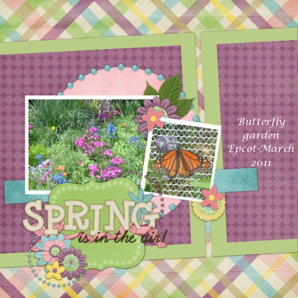 Butterfly Garden