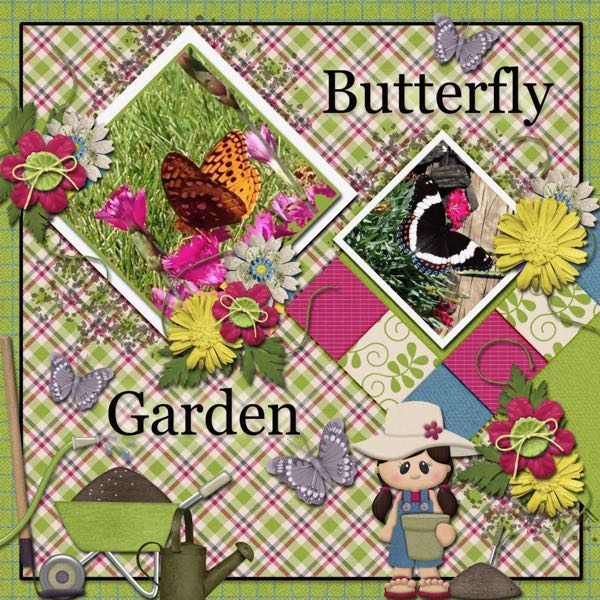 Butterfly Garden