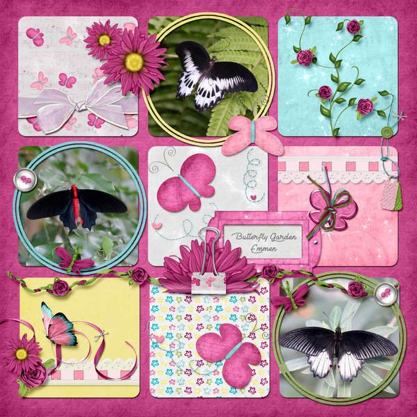 Butterfly Garden