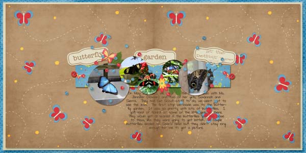 butterfly garden