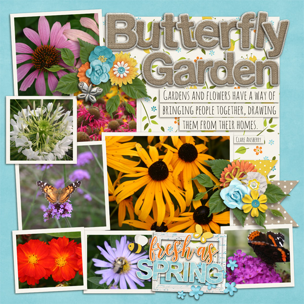 Butterfly Garden