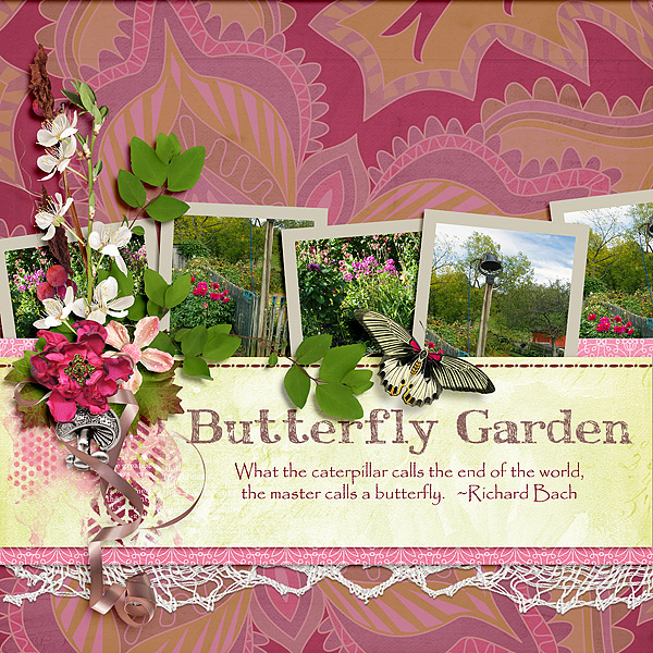 Butterfly Garden