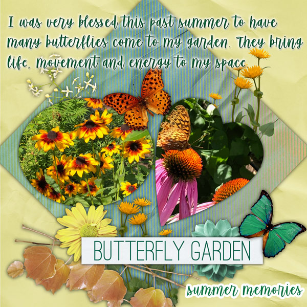 Butterfly Garden