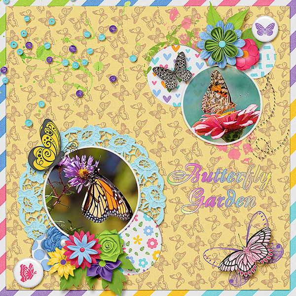 Butterfly Garden