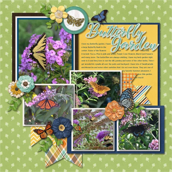 Butterfly Garden