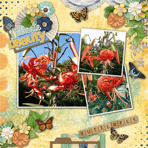 Butterfly Garden