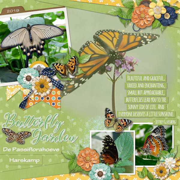 Butterfly garden