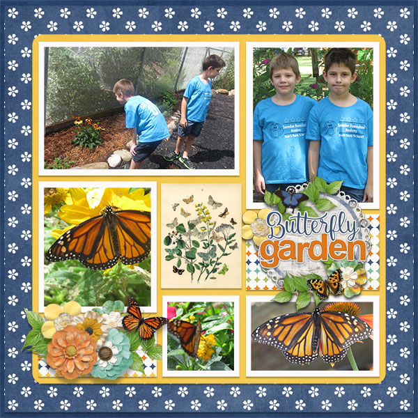 Butterfly Garden