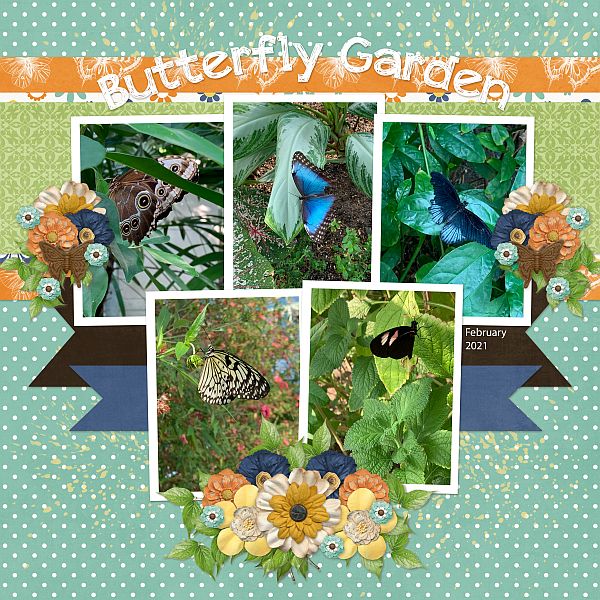 Butterfly Garden