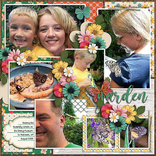 Butterfly Garden