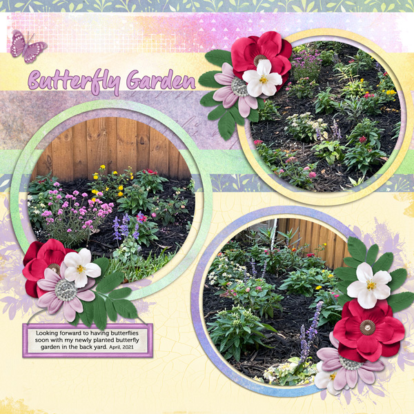 Butterfly Garden