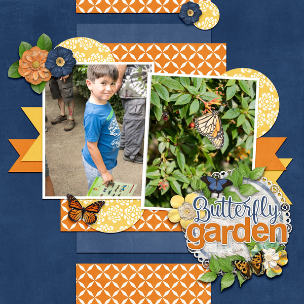 Butterfly Garden