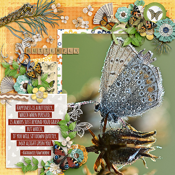Butterfly Garden