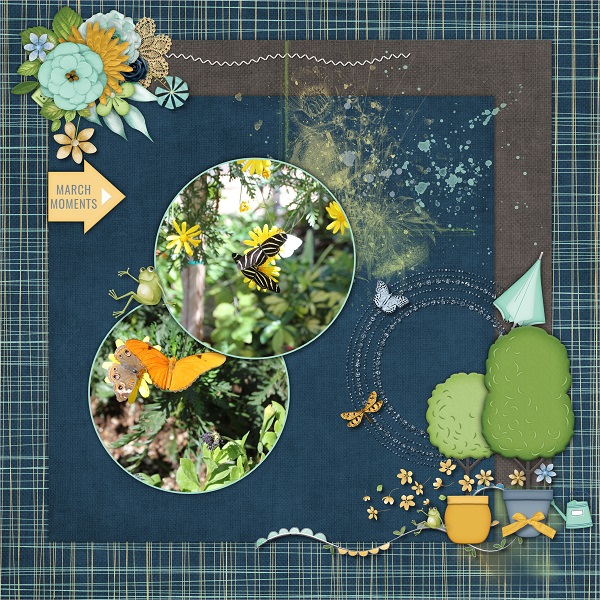 Butterfly Garden