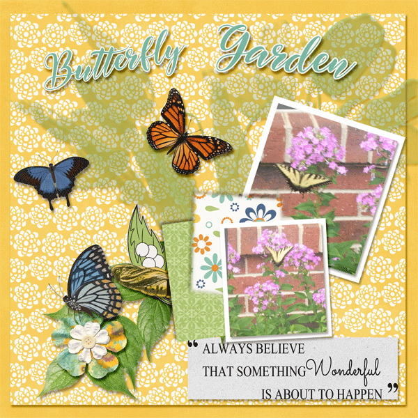 Butterfly Garden