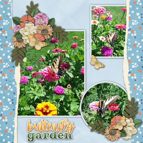 Butterfly Garden