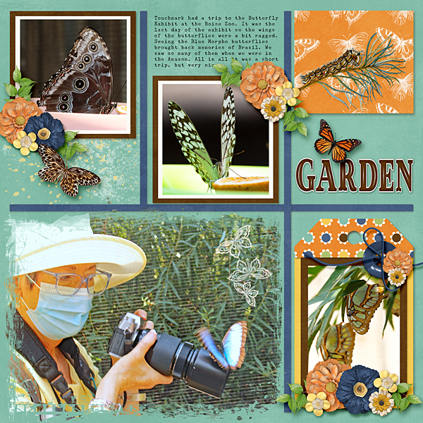 Butterfly Garden