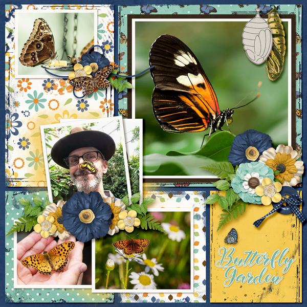 Butterfly Garden