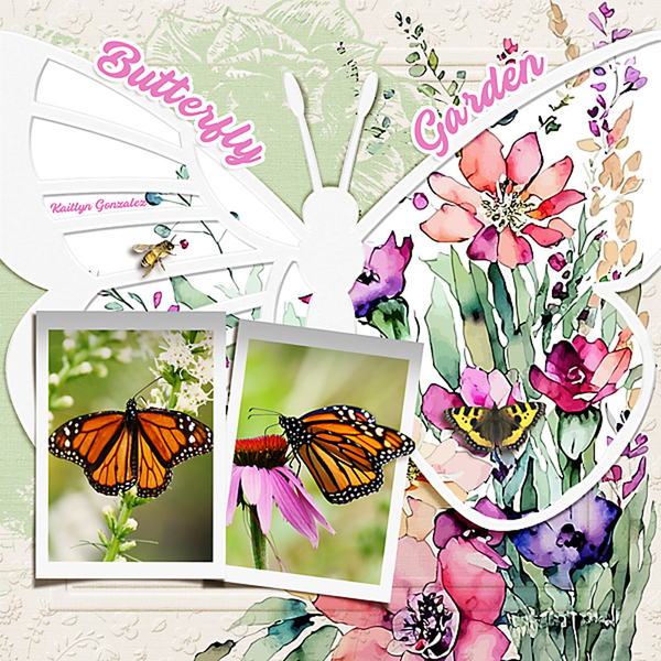 Butterfly Garden